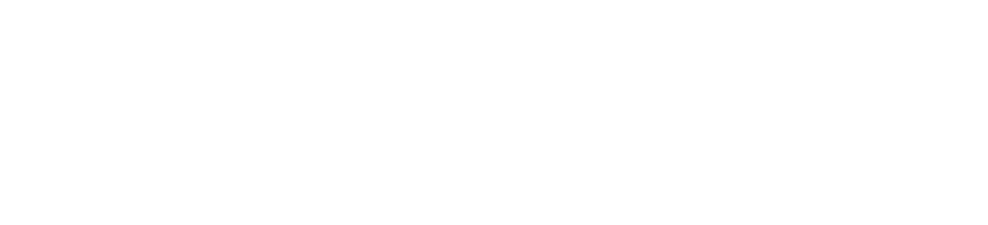 Snowflake-Logo-White